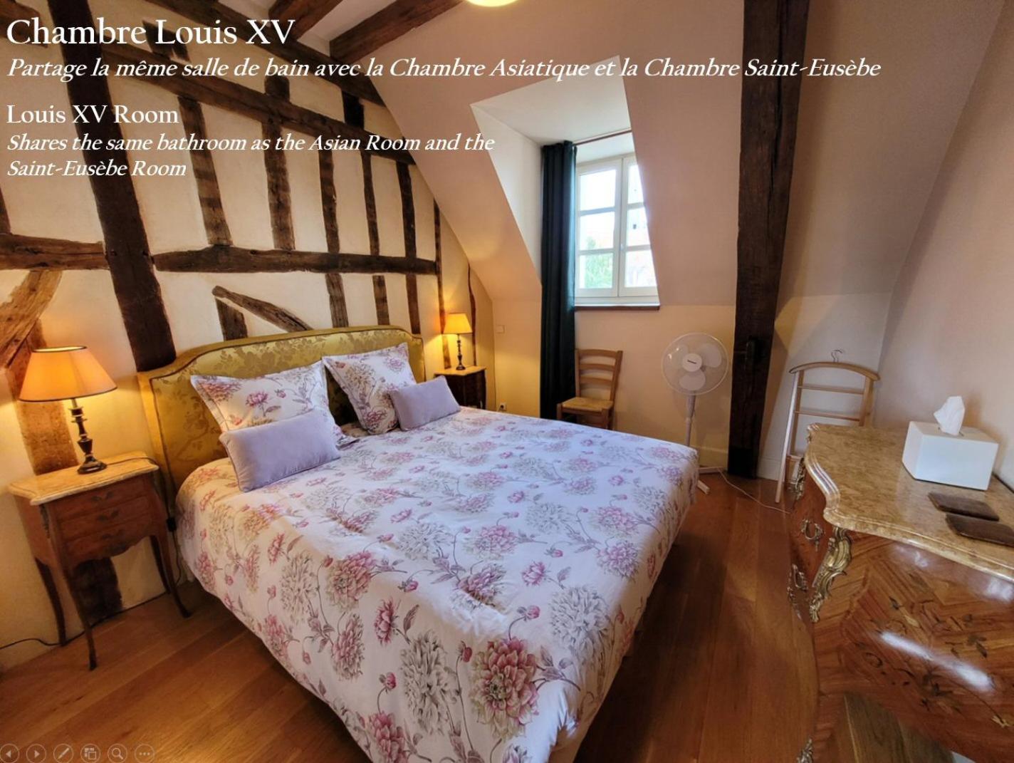 Saint-Eusebe Mansion - Hotel Particulier St-Eusebe Осер Экстерьер фото